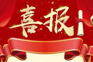 关于2022年度人力资源服务评选结果的通报，祝贺球友会(中国)集团
