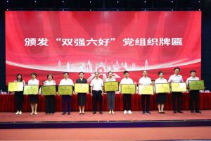 喜报！球友会(中国)集团党支部荣获广州市非公有制经济组织“双强六好”党